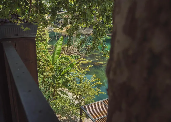 Tazz - River Front Oasis Collection Hotel